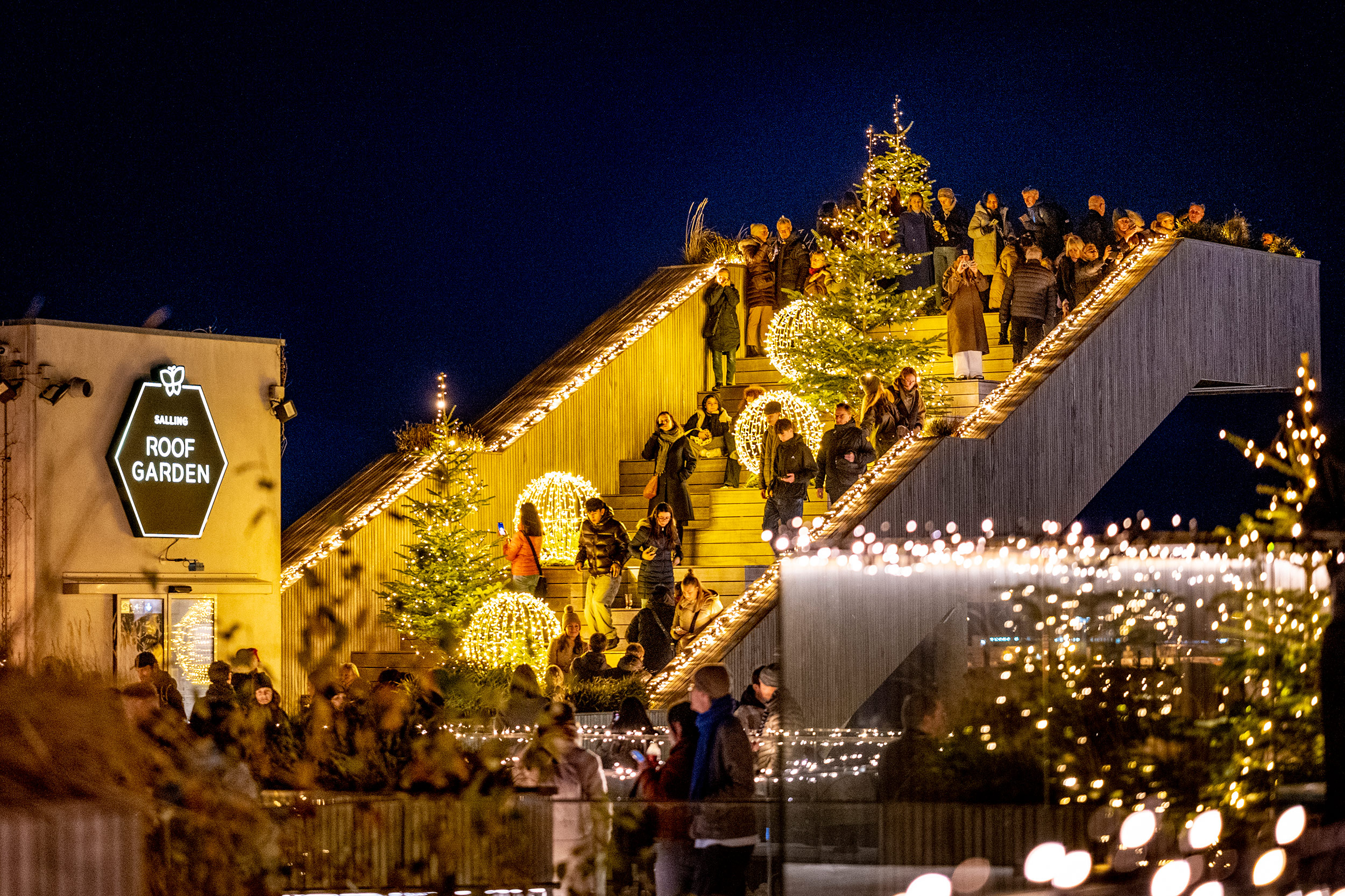 Salling Christmas Garden D. 14 Nov. 2025 052