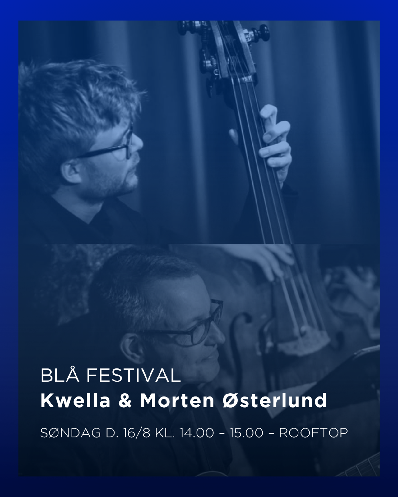 BLÅ FESTIVAL (7)