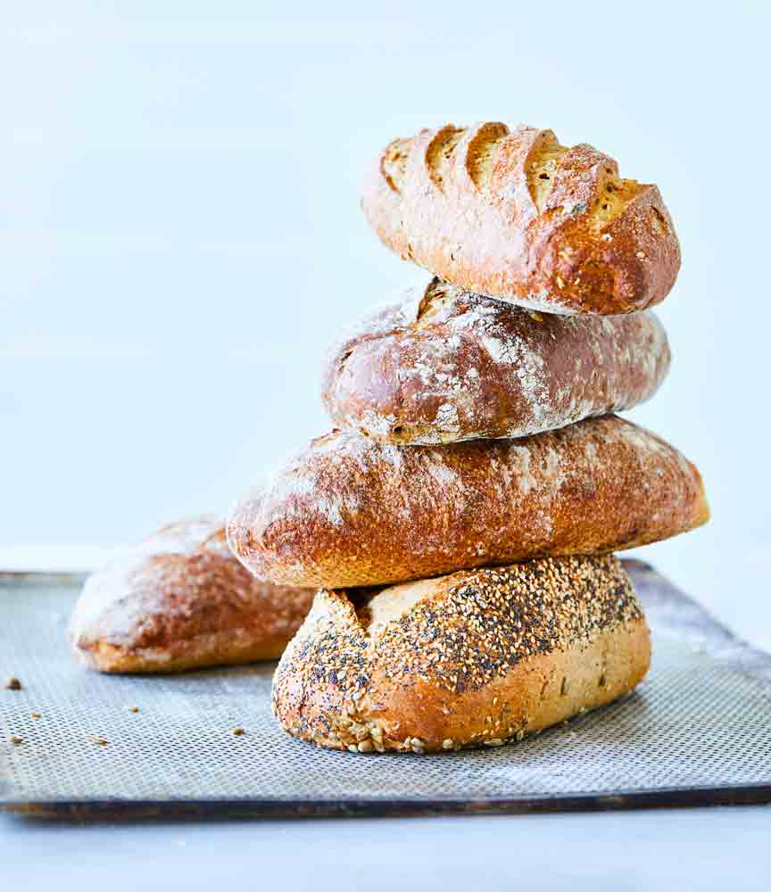 Salling Bager Grovbroed