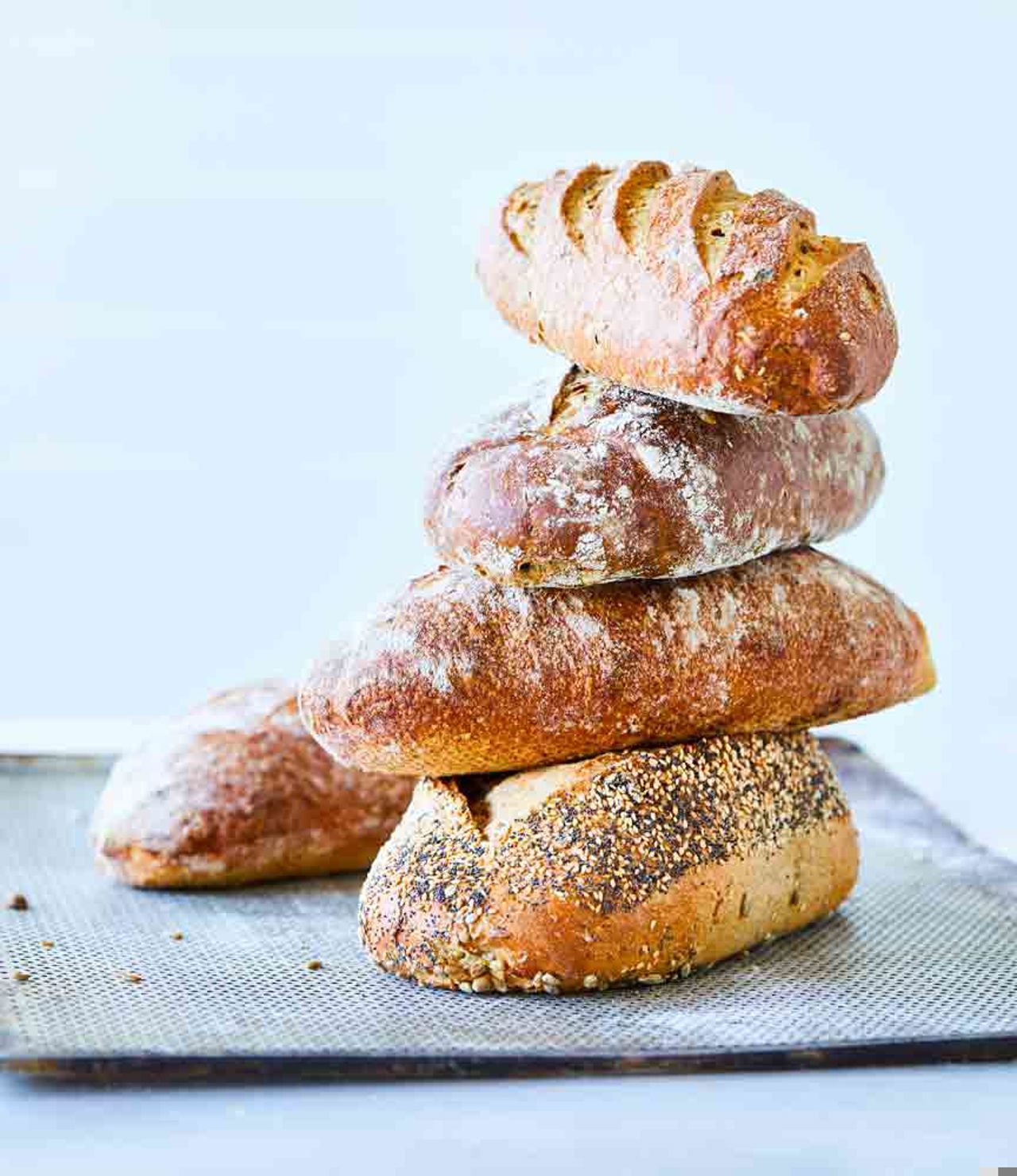 Salling Bager Grovbroed