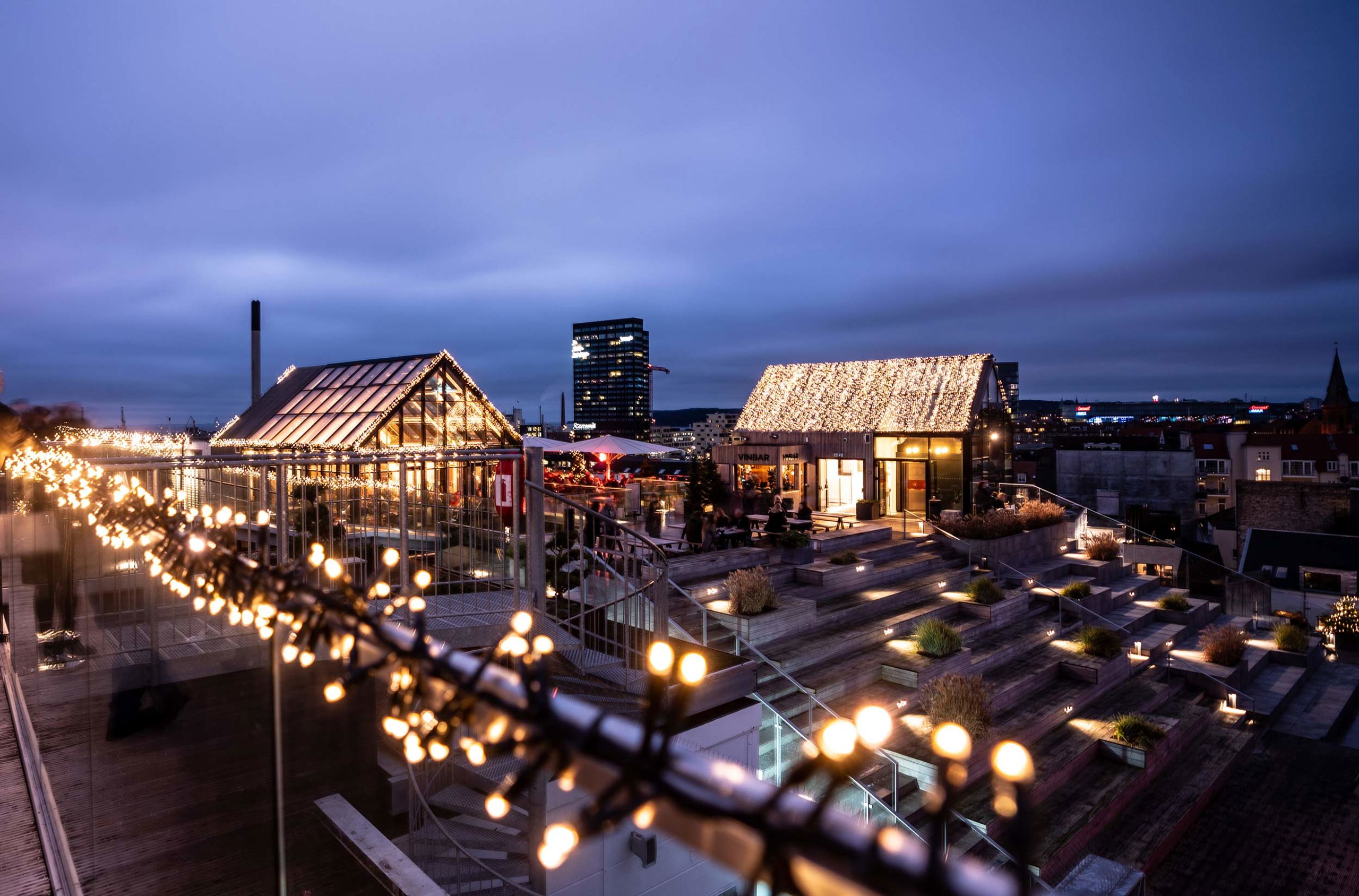 Rooftop Med Julelys