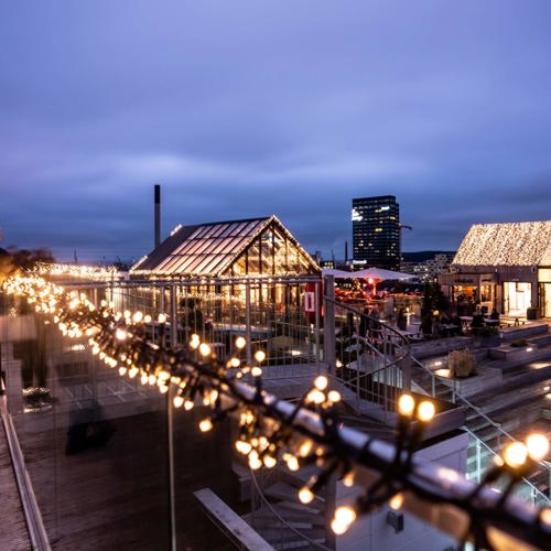 Rooftop Med Julelys