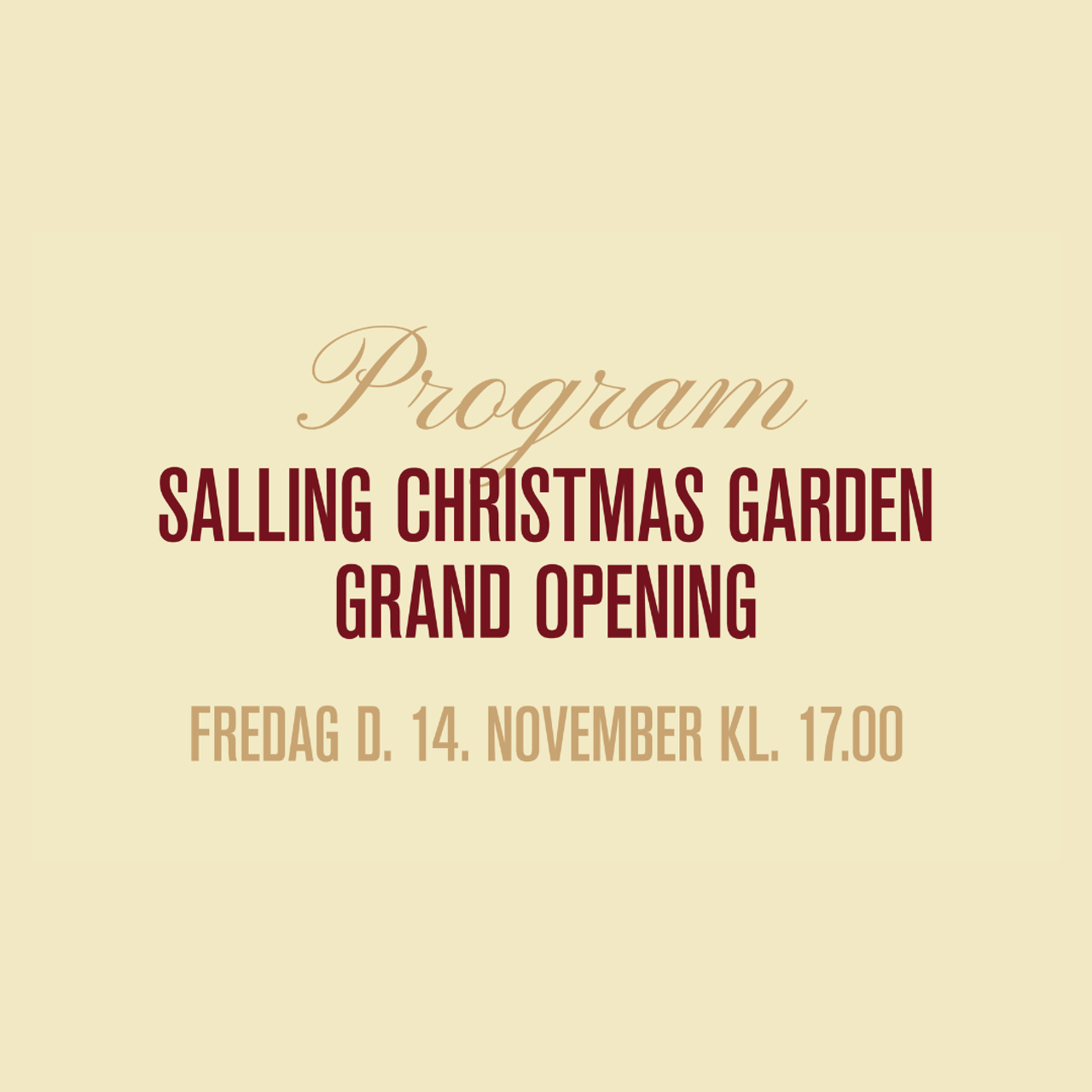 JULELYSTÆNDINGSFEST Some (1)